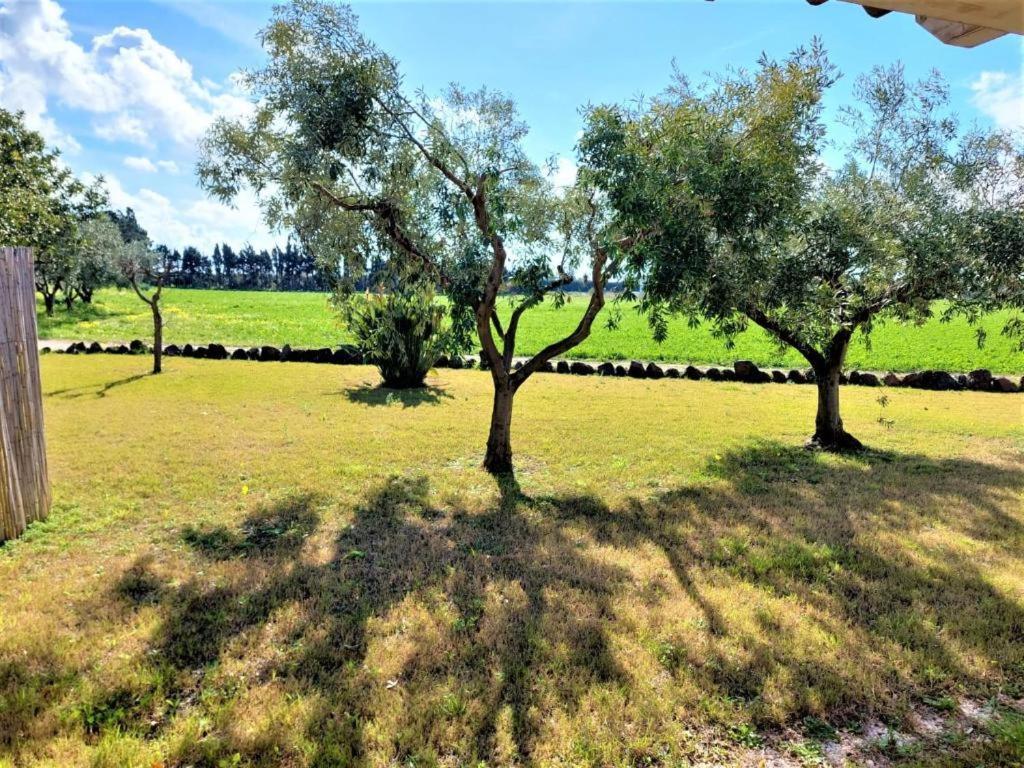 Appartamenti Sisula Manna Orosei Bagian luar foto